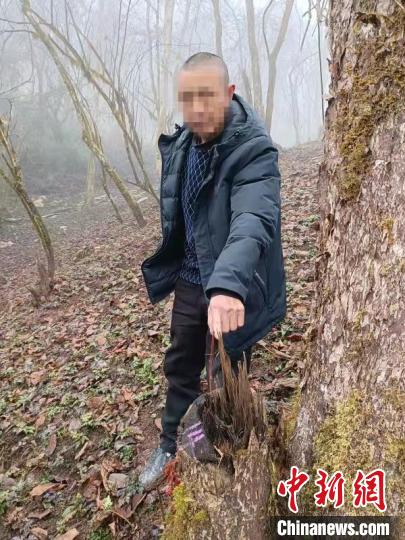 �Ĵ�2��ҩũΪ��ֲ��������18�ꡰֲ������è����ͩ�������ط�