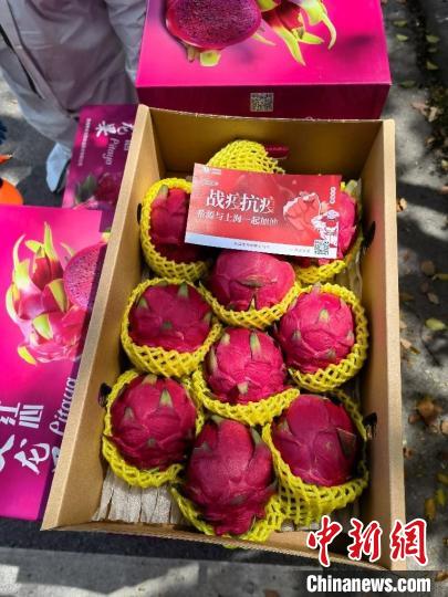 跨山越海云南、海南援沪物资陆续抵达上海进校园