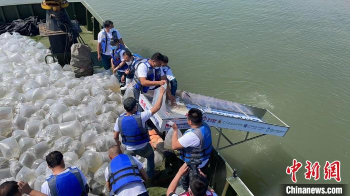 ������������������ֳ�����й���Ϻ��2��β