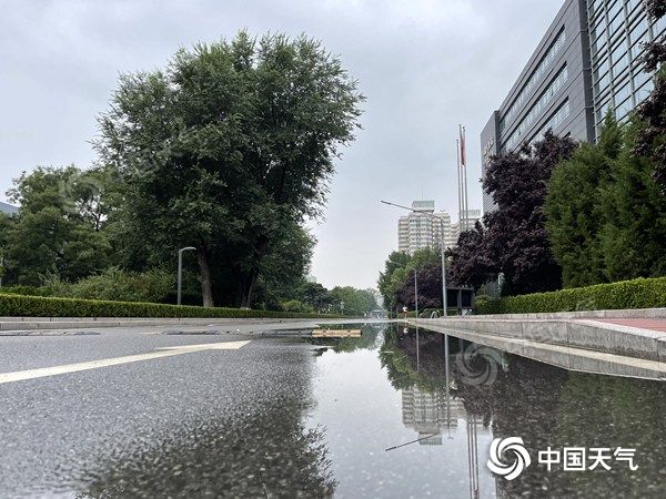 ���������һҳ