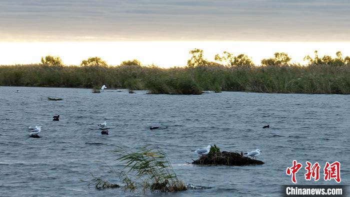 �ж�������˿�������Ǩ���߷塱�վ�2��ֻ����