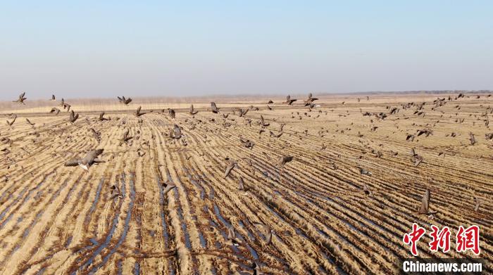 ����ÿ����2���ֻ����Ӷ���˹�ȵصִ��˿���������Խ ��