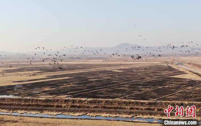 ���ж�������˿������ϣ�����ֻ��������������������� ��