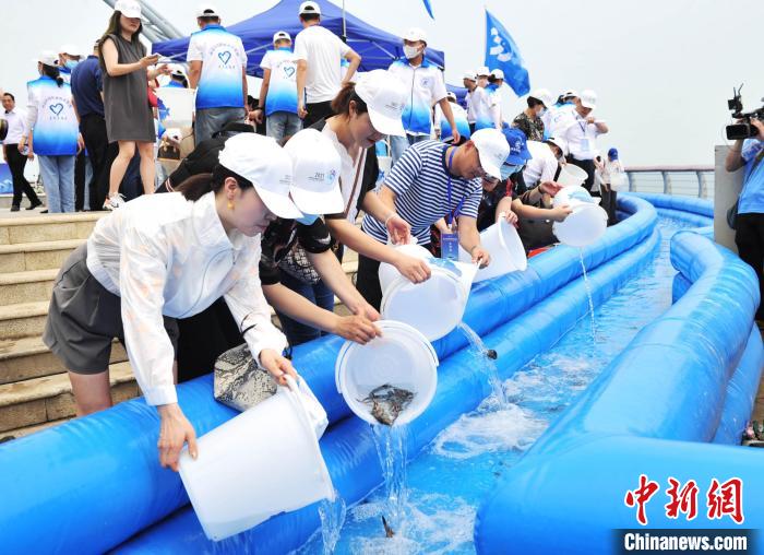 ��̨�Ʋ������������к�������ֳ��������þٰ��