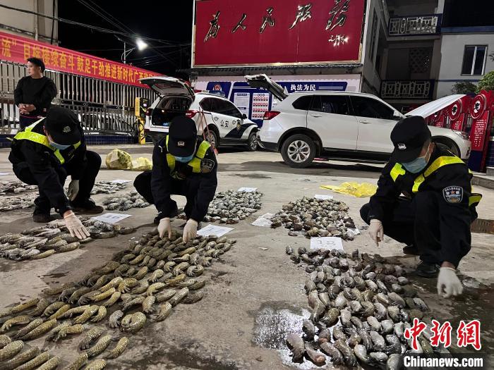 ͼΪ�����������Բ�������צ������㡣���˶��� ��