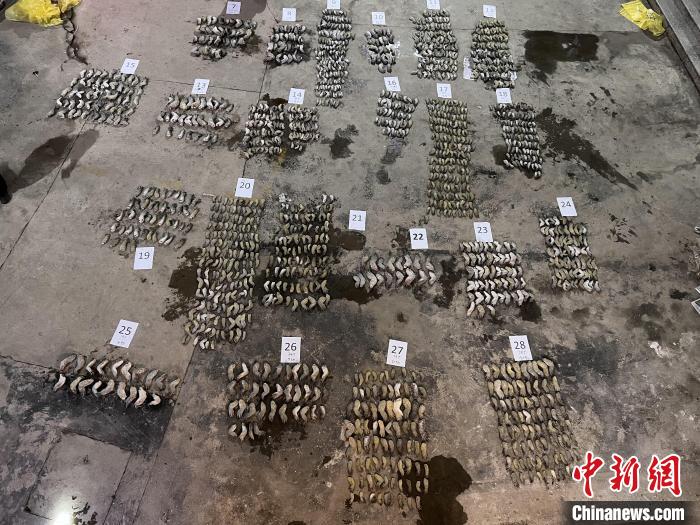 ͼΪ����צ�����յء����˶��� ��