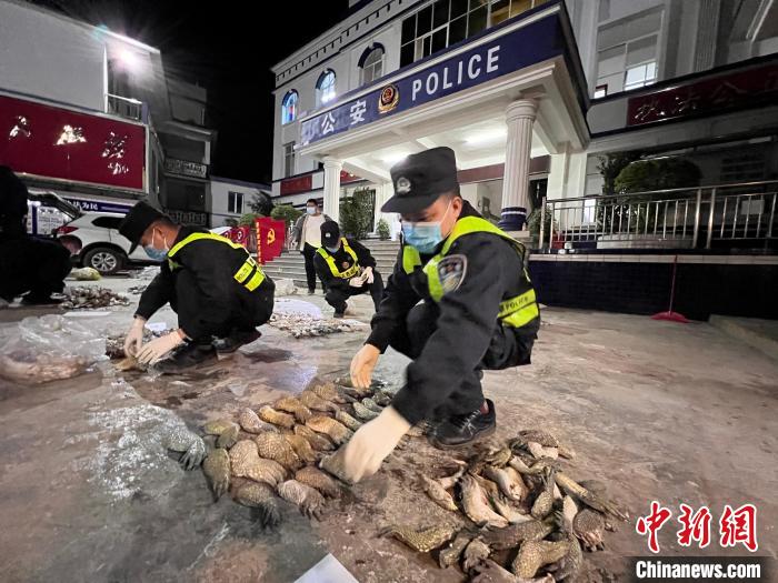 ͼΪ����������������צ���������顣���˶��� ��