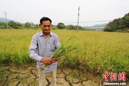 106գһվڸɺԷѳ޲ݵĵܣڸɺЩȽ޷ճɡκ 