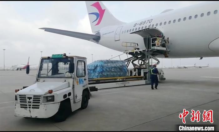 50万只口罩准备运抵首尔。东航供图