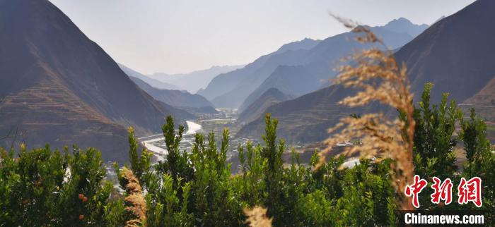 图为田济明种的绿化林。 魏建军 摄