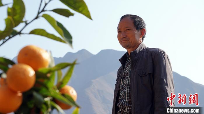 图为田济明讲述自己的“种橘史”。 魏建军 摄