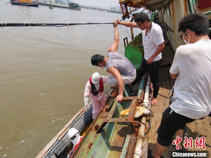 图为东海救助局救援人员将遇险船员从搁浅船舶上转移。 张志波 摄