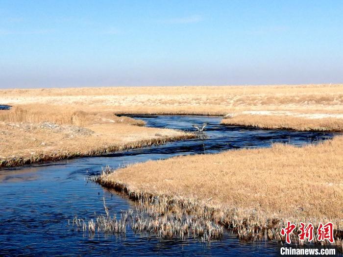 ͼΪ������Ұ������ų�������Զ����������Ƽ ��
