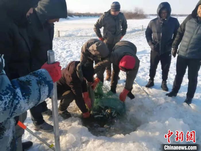 工作人员将鱼放回水里。保护区提供