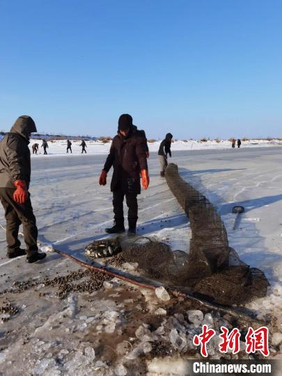 黑龙江挠力河保护区“清网”行动放归2万斤野生鱼类