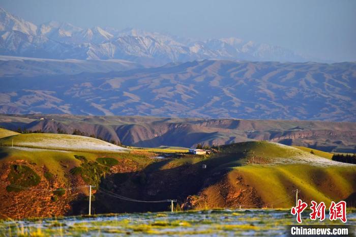 2020年6月3日清晨,祁连山下甘肃张掖市肃南裕固族自治县境内的草原如诗如画。(资料图) 武雪峰  摄