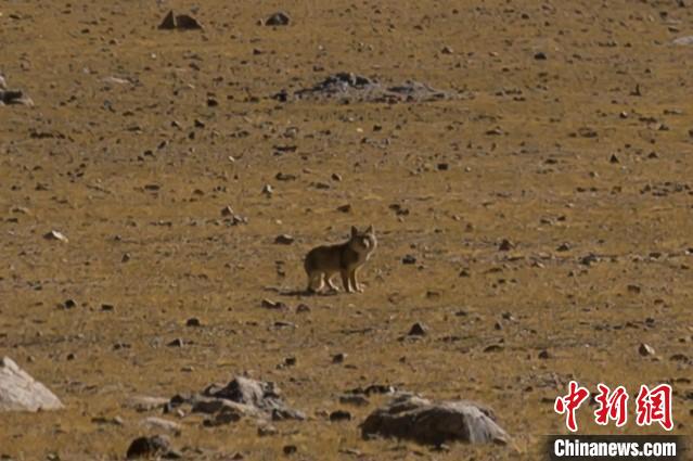 “生命禁区”的气象服务记录 中国航天科工二院23所 供图