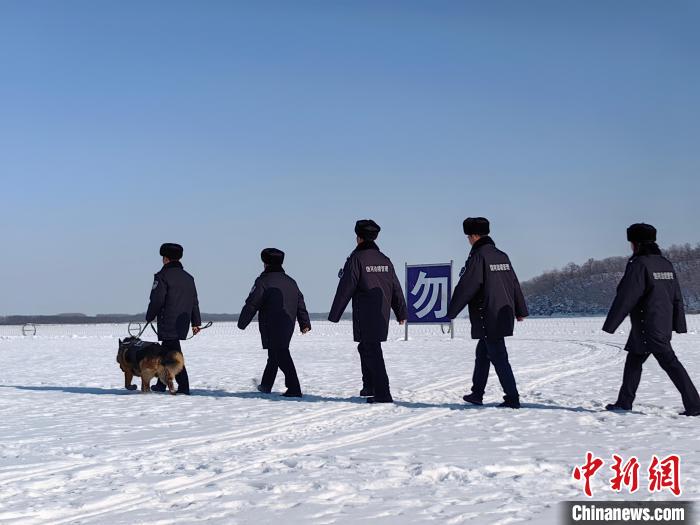 黑龙江饶河:一个月3次发现野生东北虎踪迹