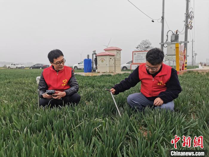 气象科技工作者在麦田间测量土壤墒情。 韩章云 摄