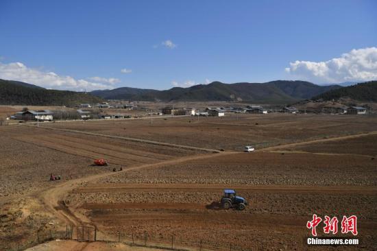 ���������С�е���Ĵ���������������<a target='_blank' href='http://www.chinanews.com/'>������</a>���� ��Ƚ�� ��