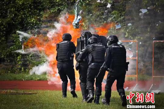 图为全警实战大练兵现场。云南省公安厅供图