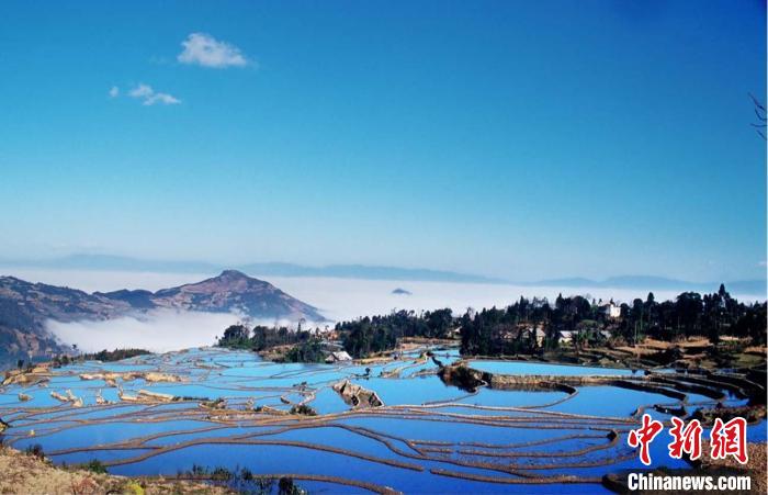 资料图:云南元阳的七彩梯田被称为“地球上最美的曲线”。供图