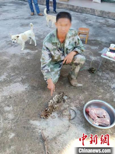 豹猫入室当“偷鸡贼”男子捕杀被警方立案处理