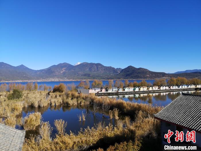 图为拉市海风光 杜潇潇 摄