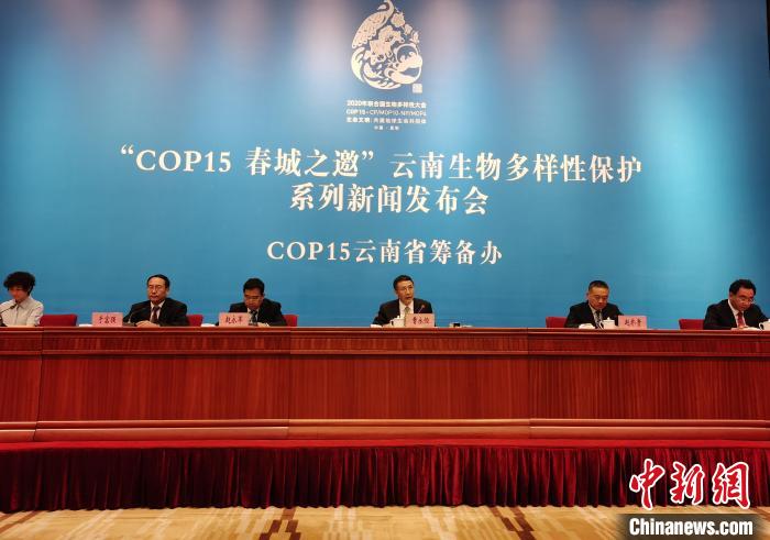 云南已退出小水电站301座计划明年底全面完成清理整改