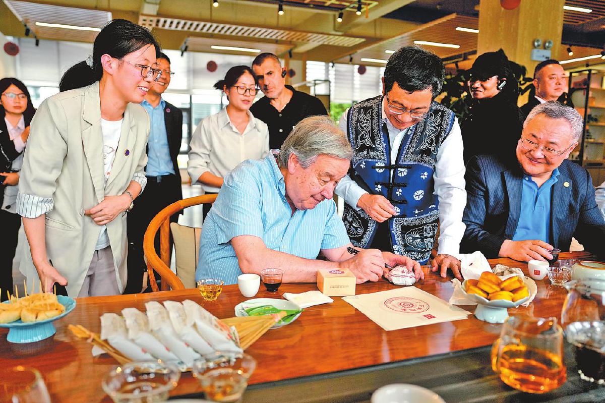 古特雷斯云南行:从洱海之滨到滇池之畔